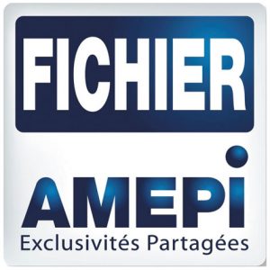 logo_amepi