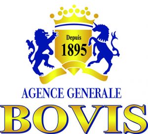 logo_bovis